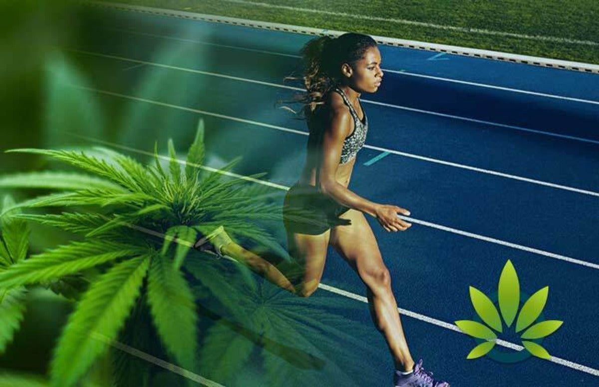 How Cannabis Enhances Physical Performance | Efloria Market